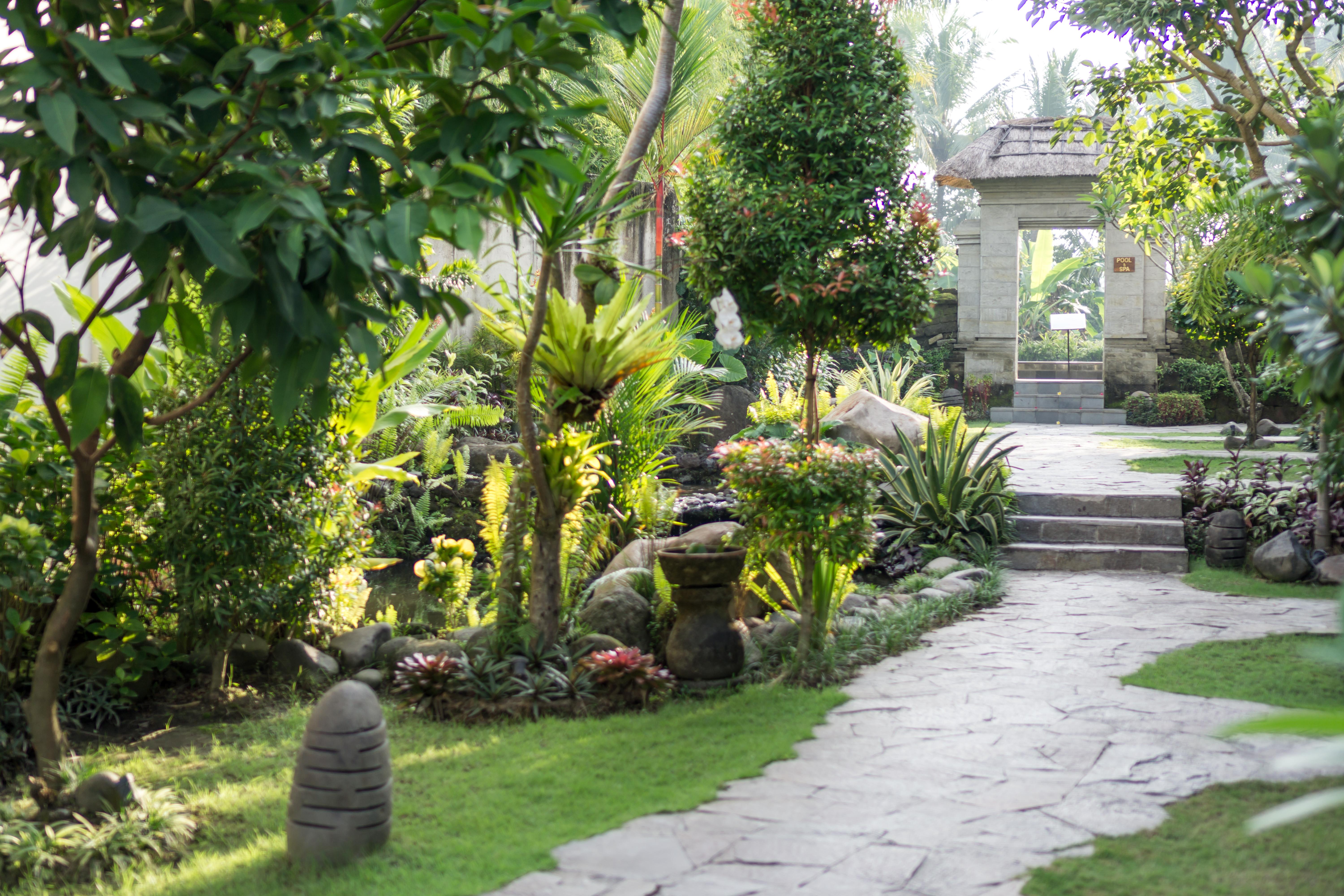 Radha Phala Resort & Spa Убуд Екстериор снимка
