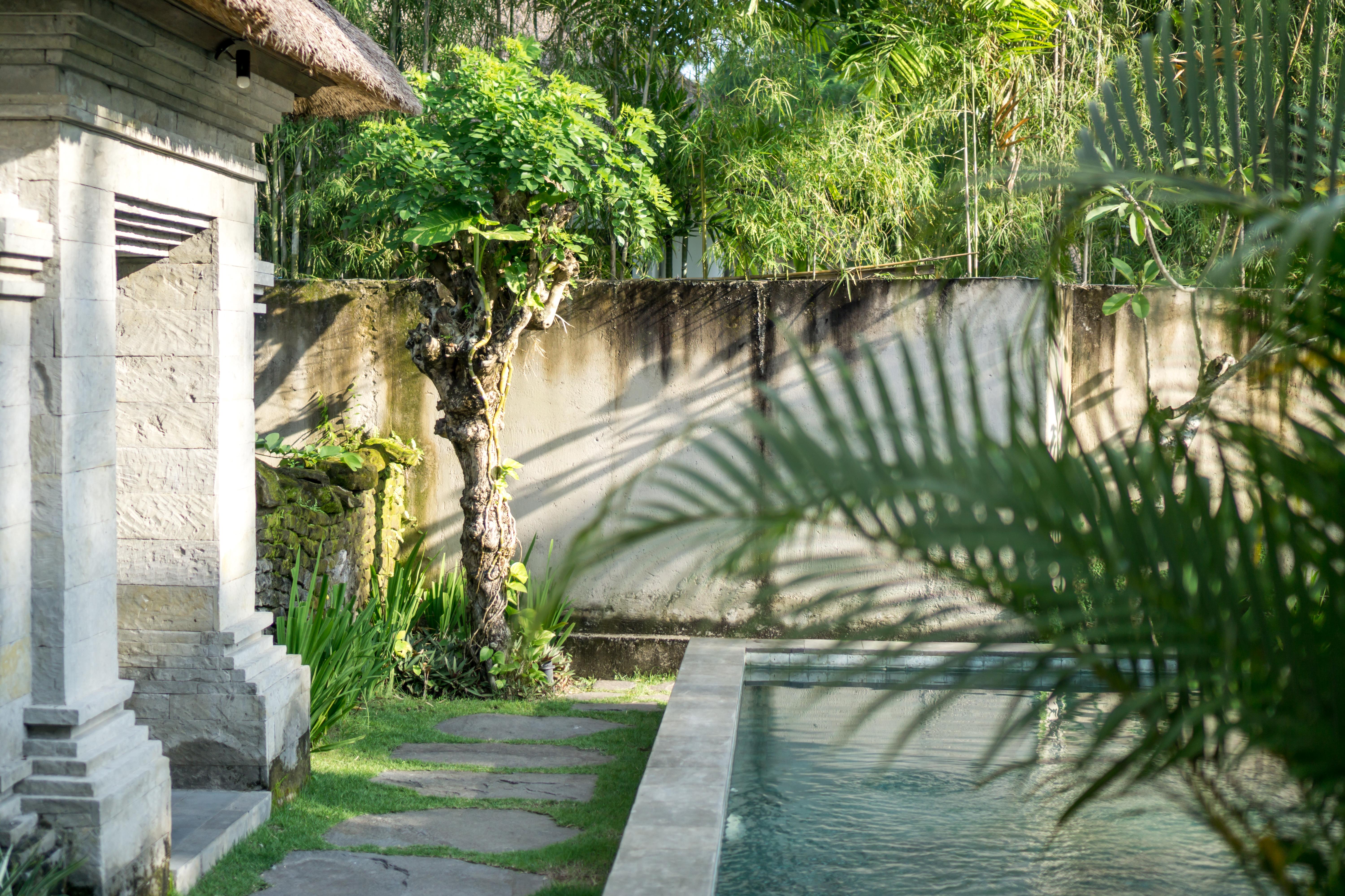 Radha Phala Resort & Spa Убуд Екстериор снимка